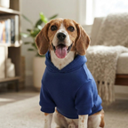 Dog Hoodie Sewing Pattern, Modern Pet Sweatshirt In All Sizes